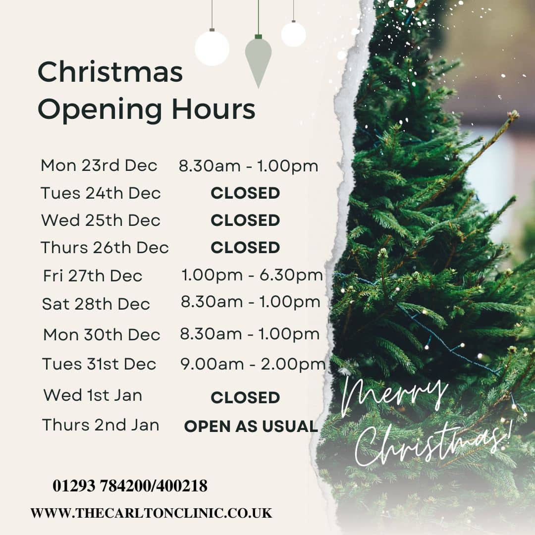 Christmas opening hours for 2024